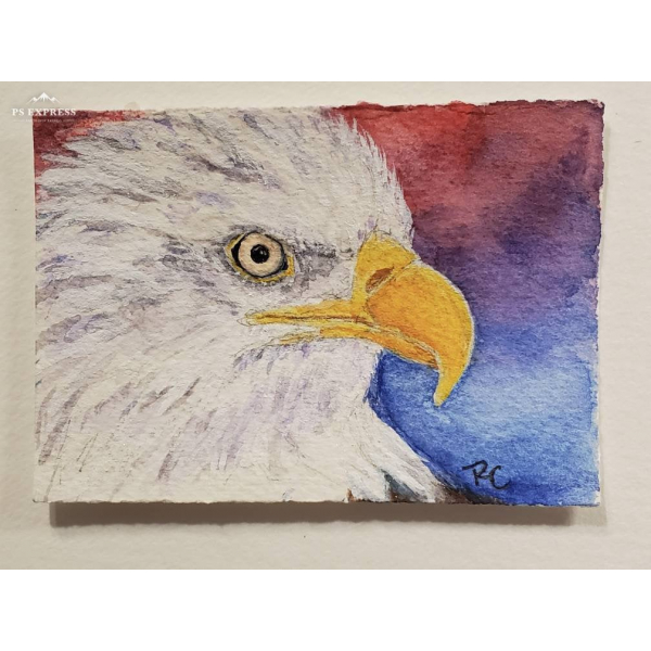 Original ACEO - Bald Eagle Watercolor, American Eagle, ATC Size Small Painting