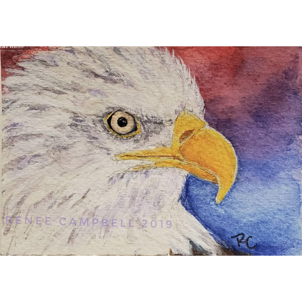 Original ACEO - Bald Eagle Watercolor, American Eagle, ATC Size Small Painting