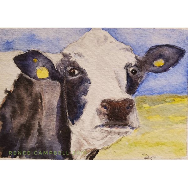 Original Miniature - Cow Watercolor, ACEO ATC Size Small Painting