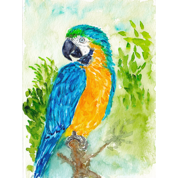 Custom Commission - Small Pet or Wildlife Portrait - Original Watercolor, Small