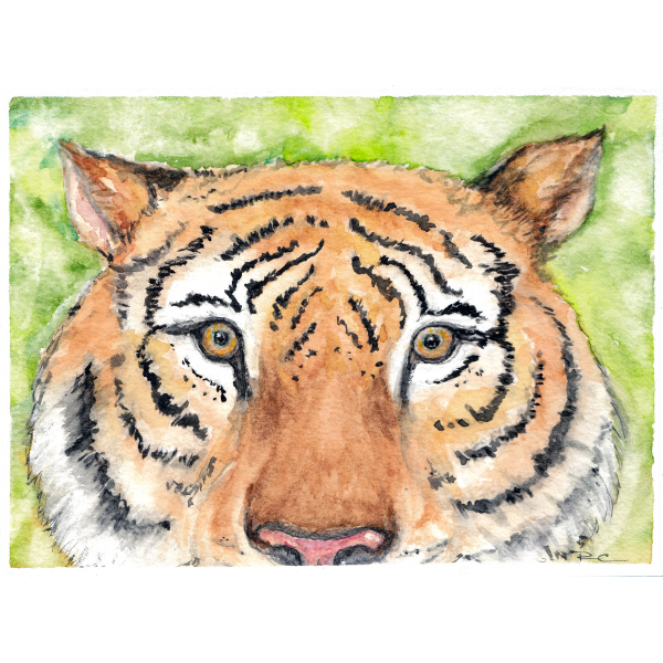 Custom Commission - Small Pet or Wildlife Portrait - Original Watercolor, Small