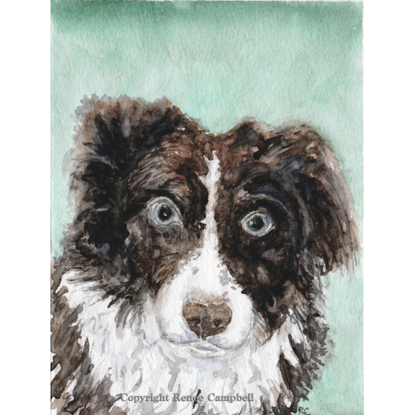 Custom Pet Portrait - Original Watercolor, Example of Dog - Made to Order