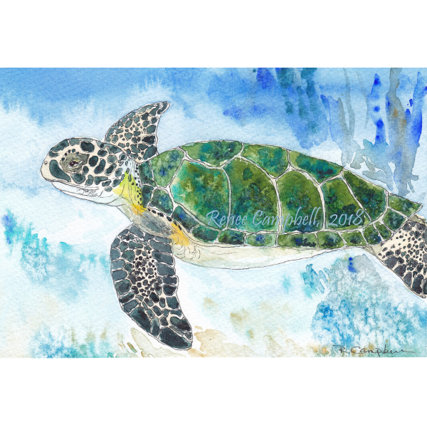 Original Watercolor, Example of Sea Turtle - Made to Order