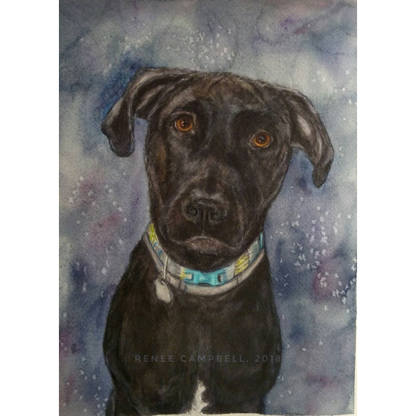 Custom Pet Portrait - Original Watercolor, Example - Made to Order