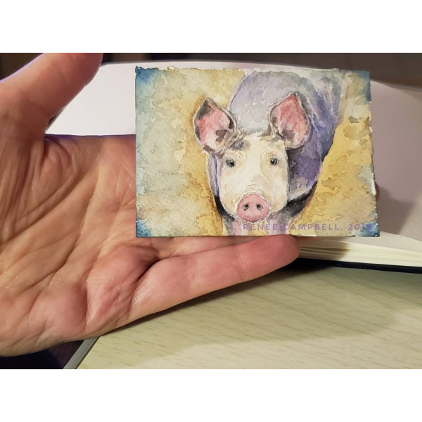 Size of ACEO - Pig Watercolor, Inquisitive Piggy, ATC Size Small Painting
