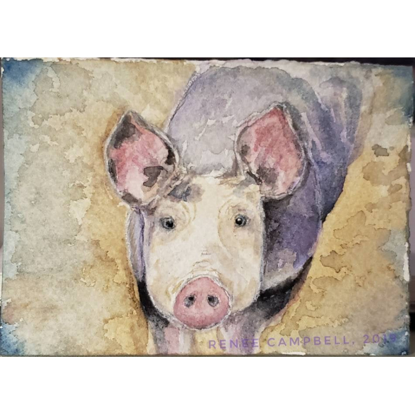 Original ACEO - Pig Watercolor, Inquisitive Piggy, ATC Size Small Painting