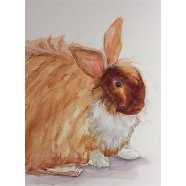 Original "Harper, aka Buns" Watercolor, Mixed Media Small Painting, Pet