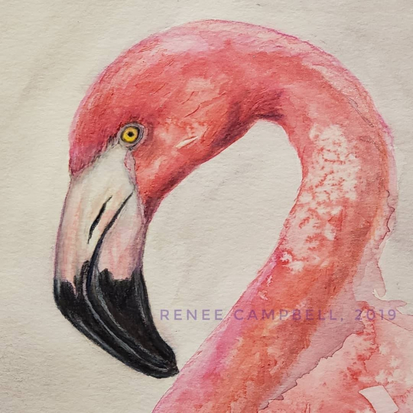 Close Up-Original "Fluid Flamingo," Loose Watercolor, Mixed Media 9x12 Painting