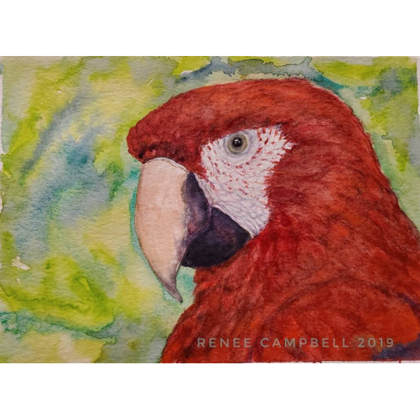 Original "Scarlet Macaw," Watercolor, Mixed Media Small Painting