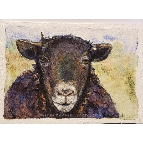 Original Miniature - Black Sheep Watercolor, ACEO ATC Size Small Painting