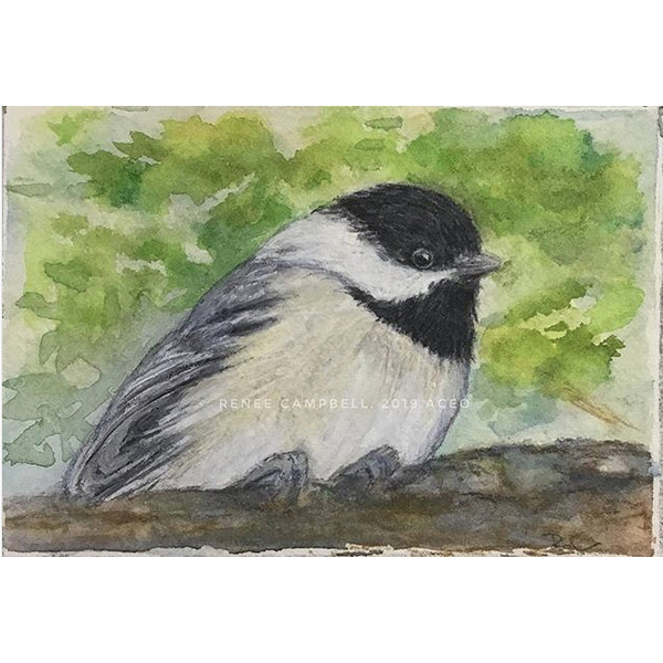 Original ACEO - Chickadee Watercolor, ATC Size Small Painting, by Renee Campbell