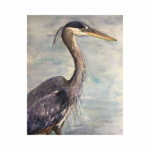 Original "Great Blue Heron," Watercolor, 9" x 12" Painting, Unframed, Renee Camp