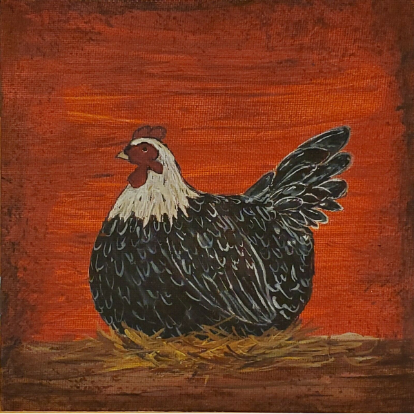 Country Laying Hen, Close Up