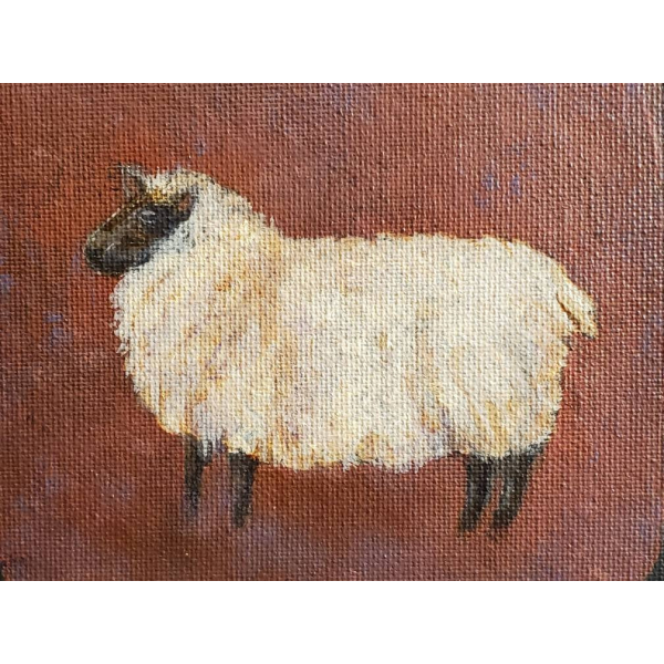 Close up without border, Shetland Sheep, painting