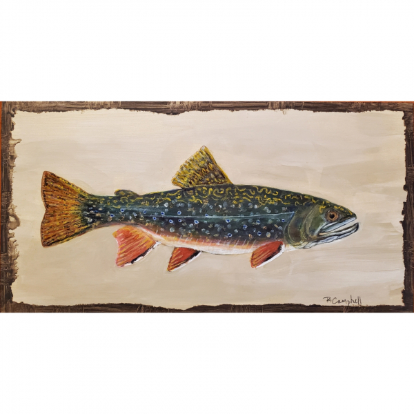 "Rainbow Trout - No Folk Here"