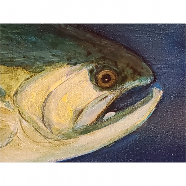 Close up of Bass