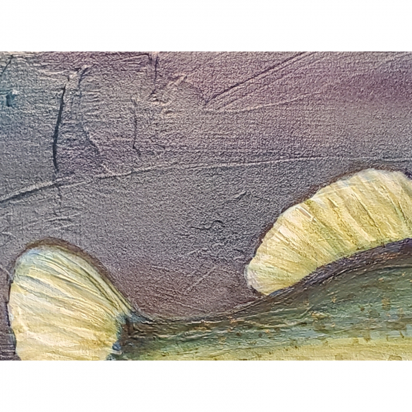 Close up show background textures