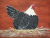 Country Prim Laying Hen, 8 x 10 Painting Country Prim Laying Hen, 8 x 10 Painting