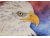 Original ACEO - Bald Eagle Watercolor, American Eagle, ATC Size Small Painting