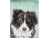 Custom Pet Portrait - Original Watercolor, Example of Dog - Made to Order