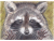 Artwork Jazz Hands Raccoon, Colored Pencil Art