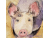 Close Up of Pig Watercolor, Inquisitive Piggy, ATC Size Small Painting