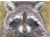 Artwork Jazz Hands Raccoon Art Print, 5" x 7"