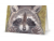Card - Jazz Hands Raccoon Art Print, 5" x 7"