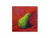 Contrasting Pear, Acrylic by Renee Campbell, 6" x 6" Painting, Still Life