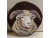 Custom Horned Dorset Sheep Portrait Ornament, Wood Slice, Home Decor Custom Horned Dorset Sheep Portrait Ornament