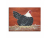 Country Prim Laying Hen, 8 x 10 Painting - Ready to Ship Country Prim Laying Hen, 8 x 10 Painting