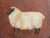 Close up without border, Shetland Sheep, painting