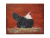 Country Prim Laying Hen, 8 x 10 Painting Country Prim Laying Hen, 8 x 10 Painting