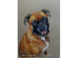 Custom Pet or Wildlife Portrait - Original Colored Pencil Painting - Unframed