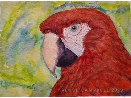 Original "Scarlet Macaw," Watercolor, Mixed Media Small Painting