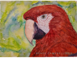 Original "Scarlet Macaw," Watercolor, Mixed Media Small Painting Original "Scarlet Macaw," Watercolor, Mixed Media Small Painting