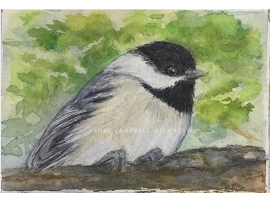 Original ACEO - Chickadee Watercolor, ATC Size Small Painting, by Renee Campbell