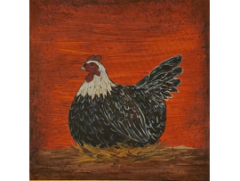 Country Laying Hen, Close Up