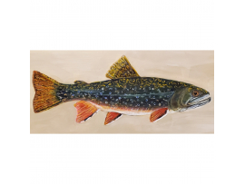 Close up of trout painting by Renee Campbell