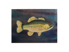 Small Acrylic Painting, Large Mouth Bass Black Bass Acrylic Painting