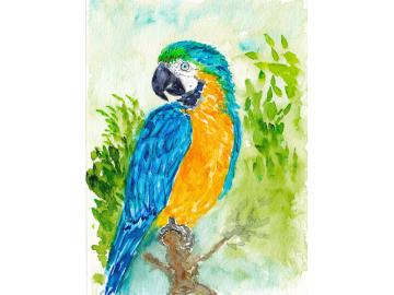 Custom Pet or Wildlife Portrait - Small Watercolor Painting