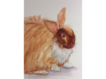Original Angora Rabbit Watercolor, Mixed Media Pet Portrait, Small Painting