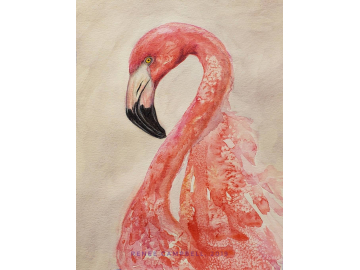 Original Flamingo Watercolor, Mixed Media 9x12 Painting