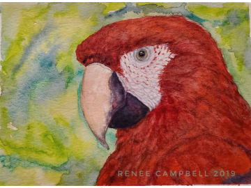 Original "Scarlet Macaw," Watercolor, Mixed Media Small Painting