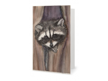 3 Pk of Cards - Cozy Raccoon Art Print, 7" x 5"