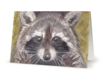 3 Pk of Cards - Jazz Hands Raccoon Art Print, 5" x 7"