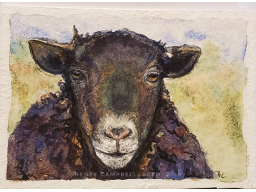 Original Miniature - Black Sheep Watercolor, ACEO Small Painting