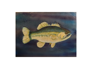 Black Bass Painting, 8" x 6"